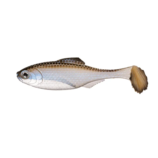 6th Sense Panorama Swimbait - Unrigged