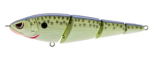 Sashimmy swimmer