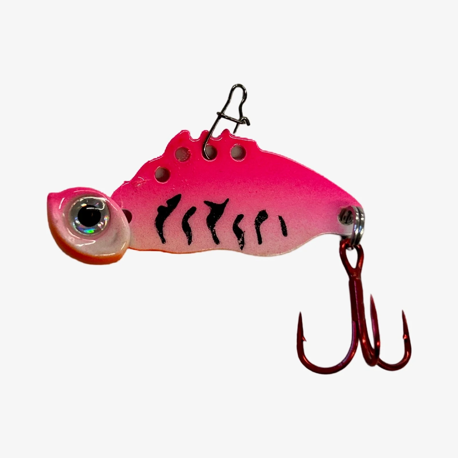Tung Bug